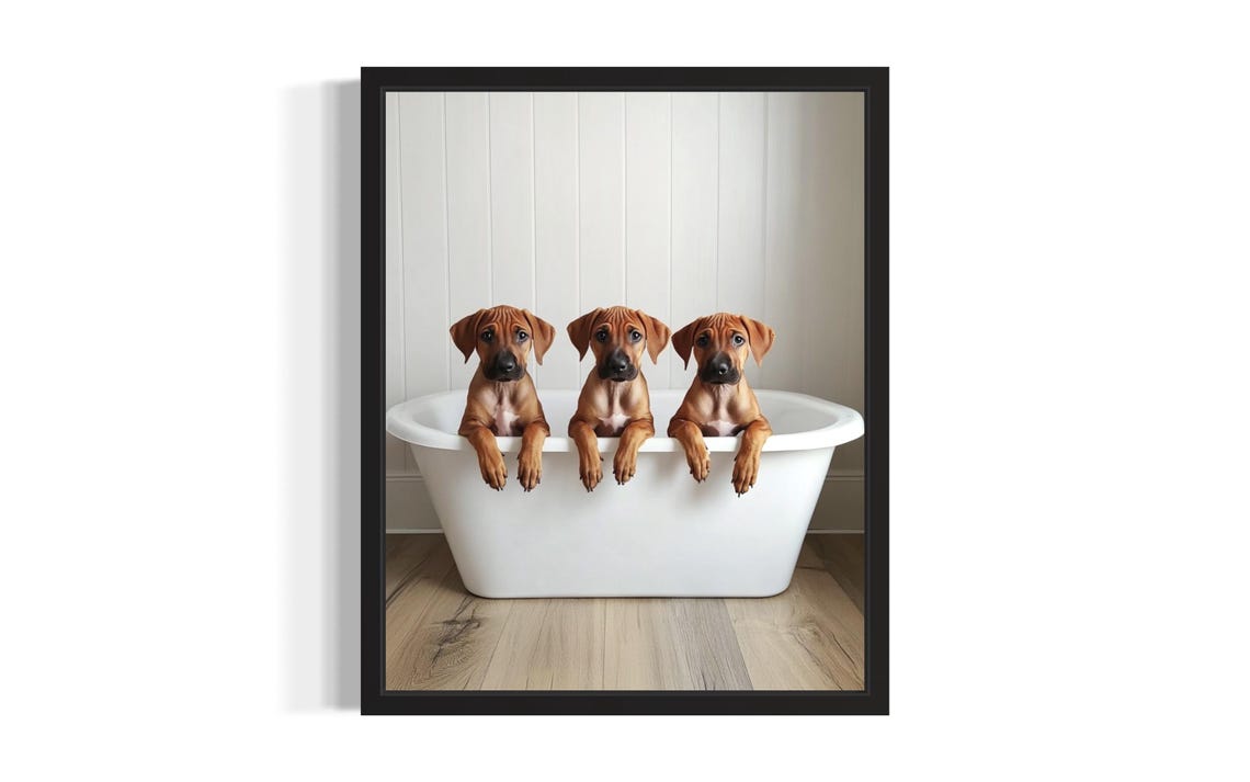 Three Rhodesian Ridgeback Puppies in White Bathtub Bathroom Poster