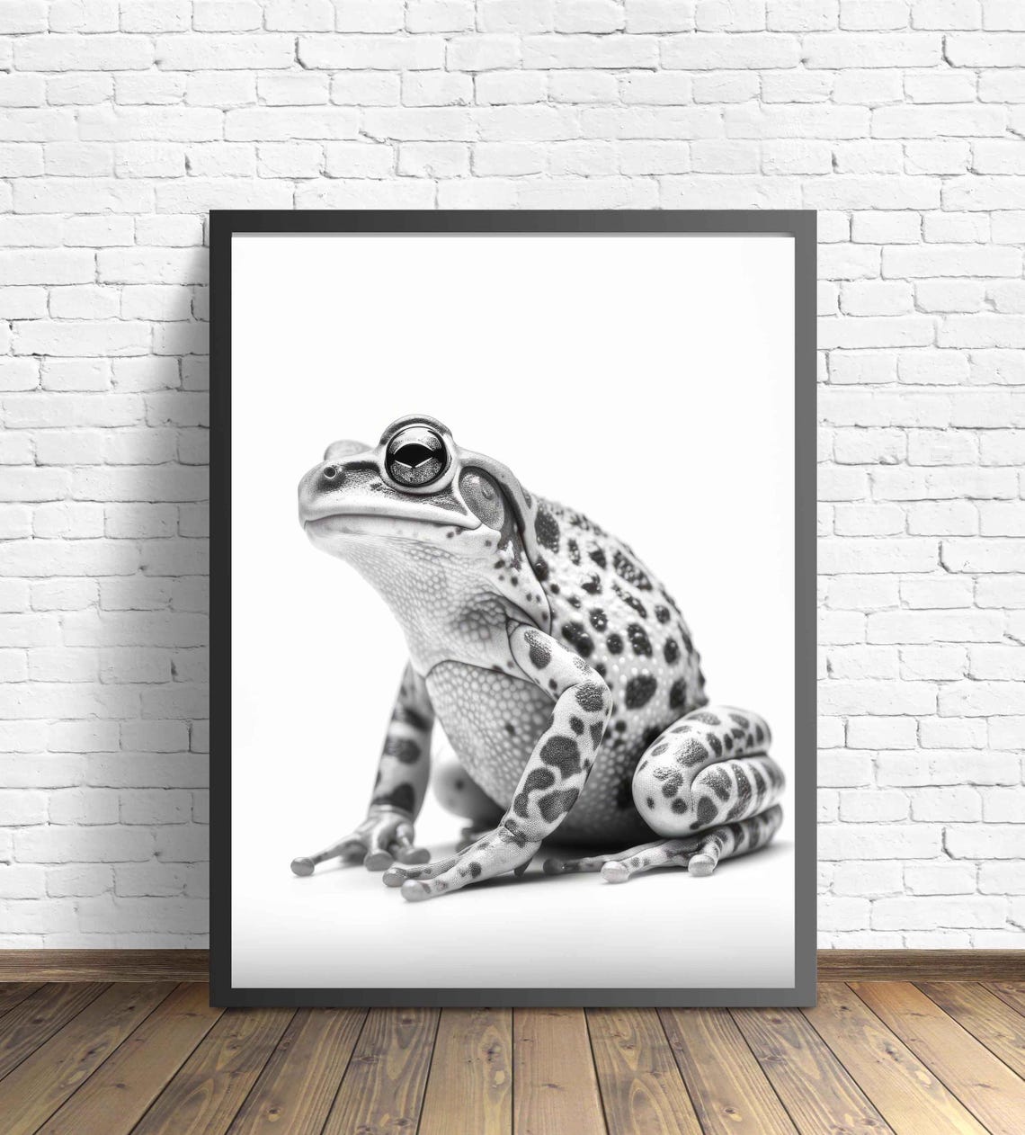 Frog Black and White Spotted Tree Frog Studio Portrait Poster - Image 2