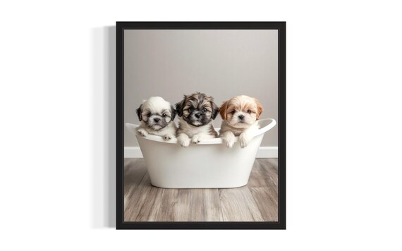 Three Shih Tzu Puppies in White Bathtub Cute Bathroom Poster
