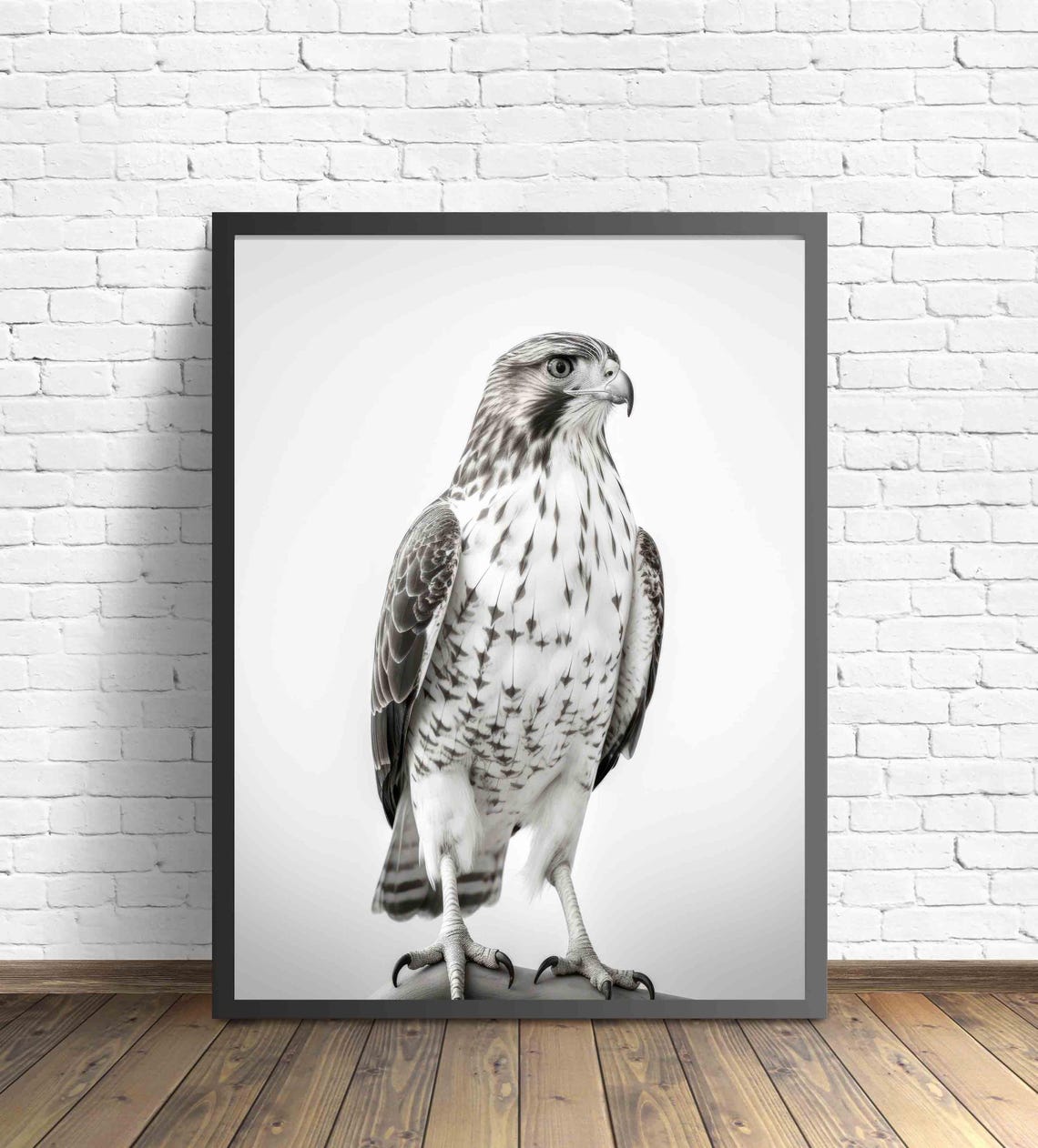 Hawk Black and White Perched Bird of Prey Portrait Wildlife Poster - Image 3