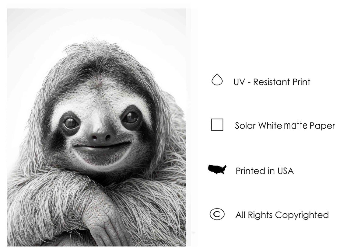 Sloth Black and White Smiling Cute Wild Animal Portrait Poster - Image 3