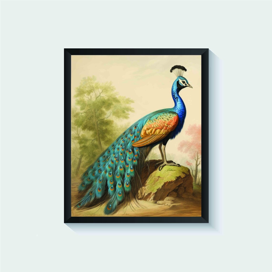 Indian Peafowl Standing in a Woodland Glade Vintage Bird Art Poster