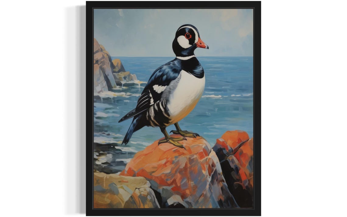 Harlequin Duck Standing on Coastal Rocks by the Sea Vintage Poster