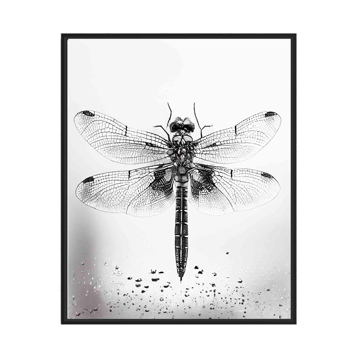Black And White Dragonfly Macro Wing Detail Photography Wall Art