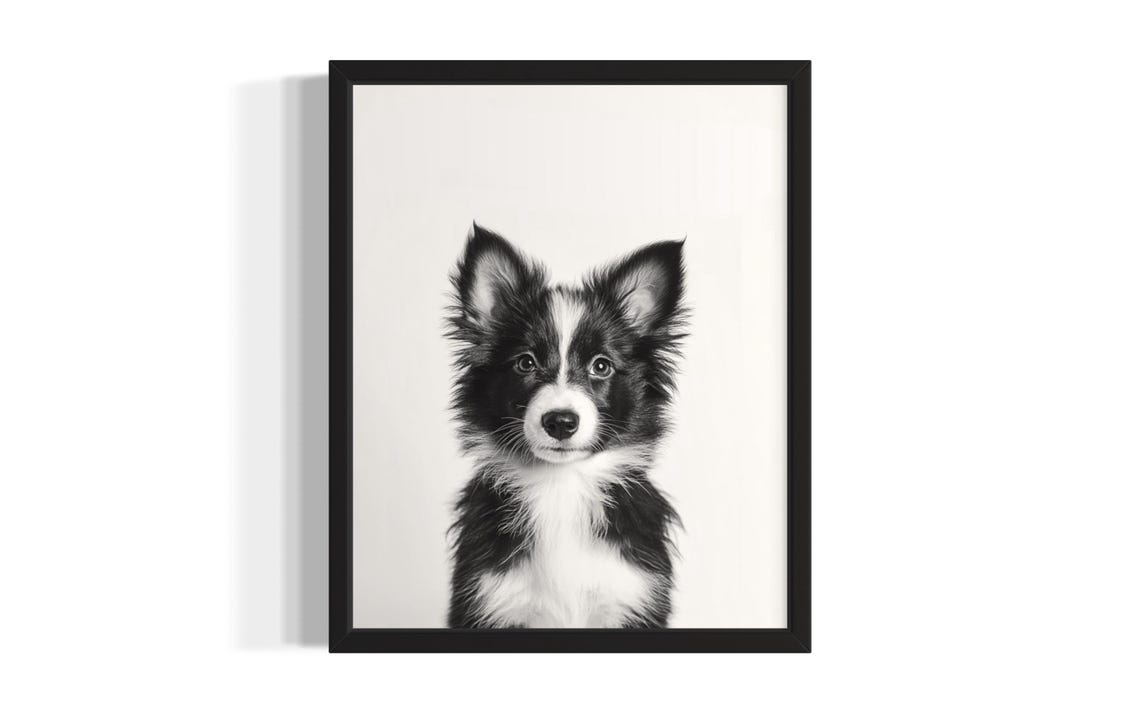 Border Collie Puppy Portrait Minimalist Black and White Wall Poster