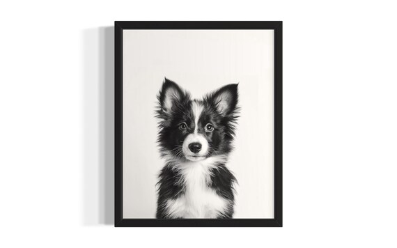 Border Collie Puppy Portrait Minimalist Black and White Wall Poster