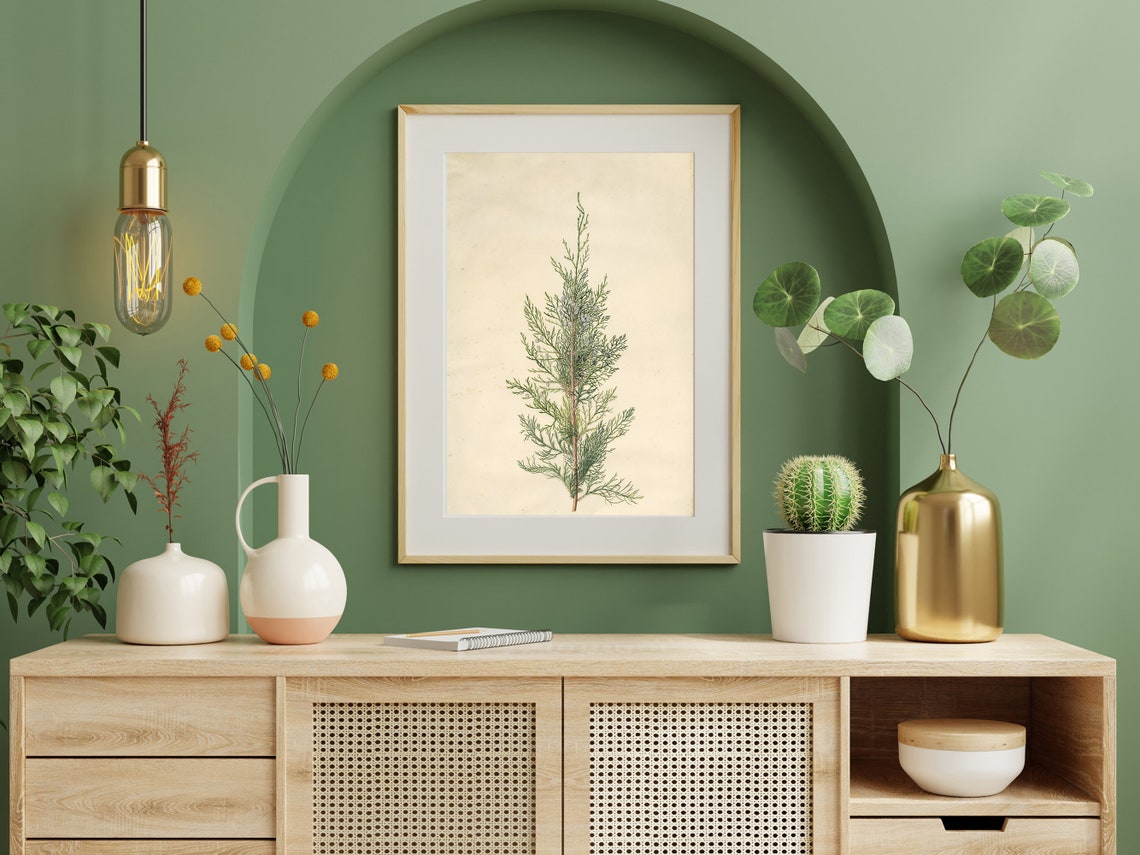 Vintage Cypress Sprig Botanical Study Cream Herbarium Art Poster - Image 3