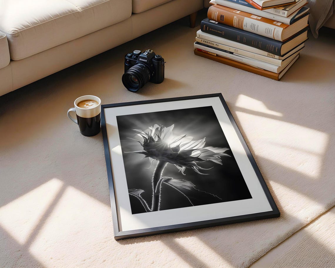 Backlit Sunflower in Black and White Dramatic Flower Photo Poster - Image 5