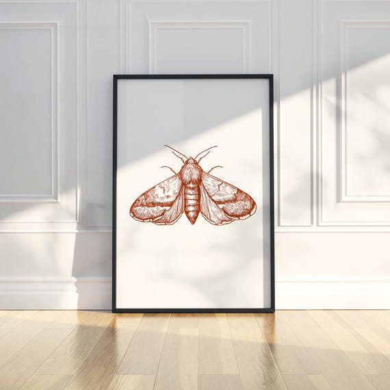 Moth Insect Ink Sketch Line Art Simple Animal Illustration Drawing Trendy Poster Wall Print Modern Home Decor