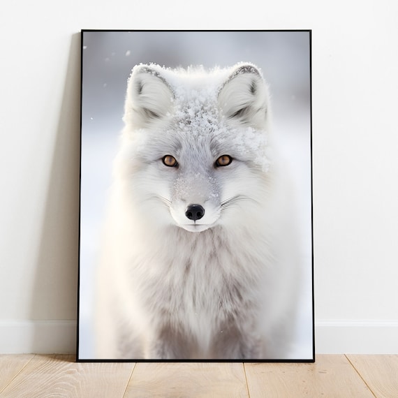 White Arctic Fox Portrait With Snow Dusted Fur Wildlife Poster