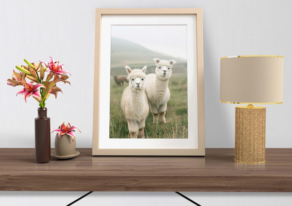 White Alpacas in a Misty Morning Meadow Vintage Style Art Poster - Image 2