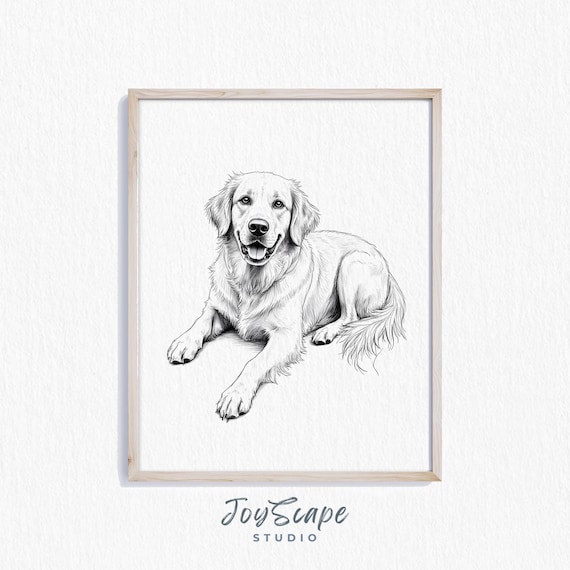 Golden Retriever Sketch Black And White Smiling Dog Portrait Poster