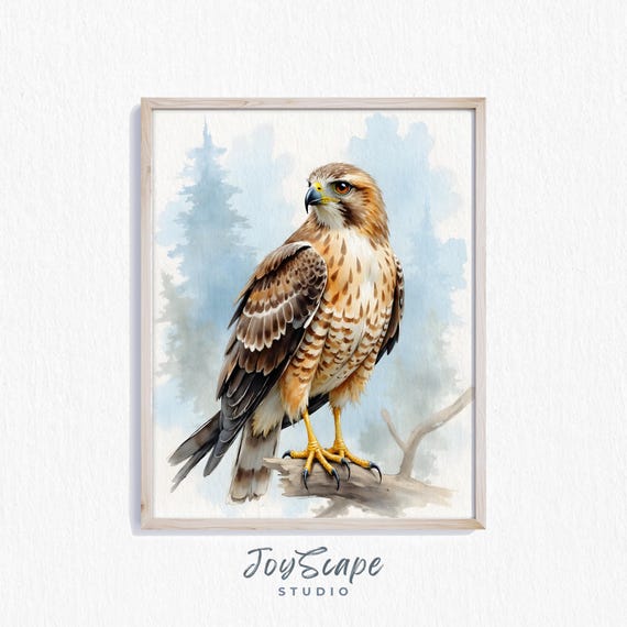 Hawk Wall Art Majestic Vintage Bird Painting Rustic Nature Decor Nursery Wildlife Illustration Print