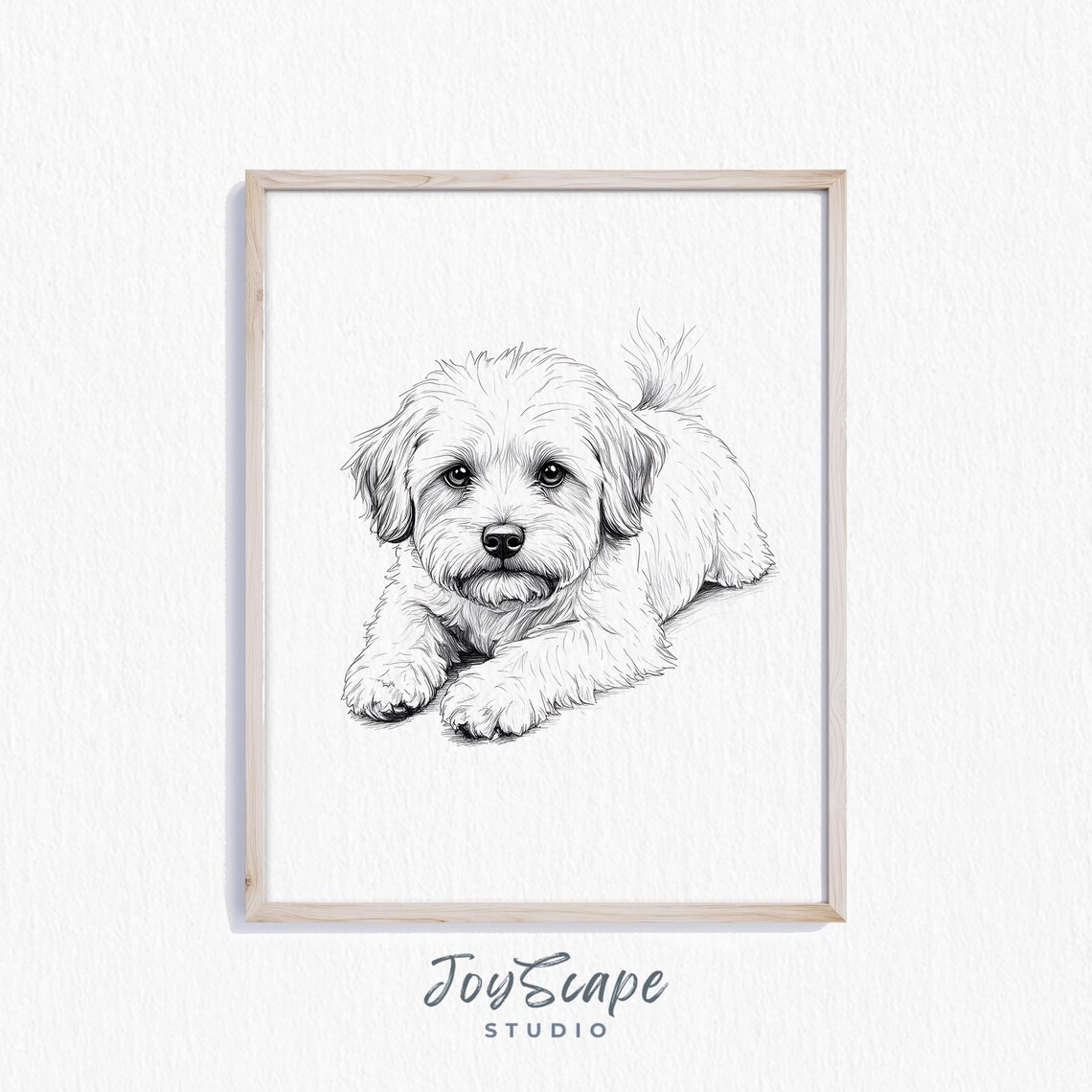 Maltese Puppy Sketch Black And White Fluffy Dog Portrait Poster