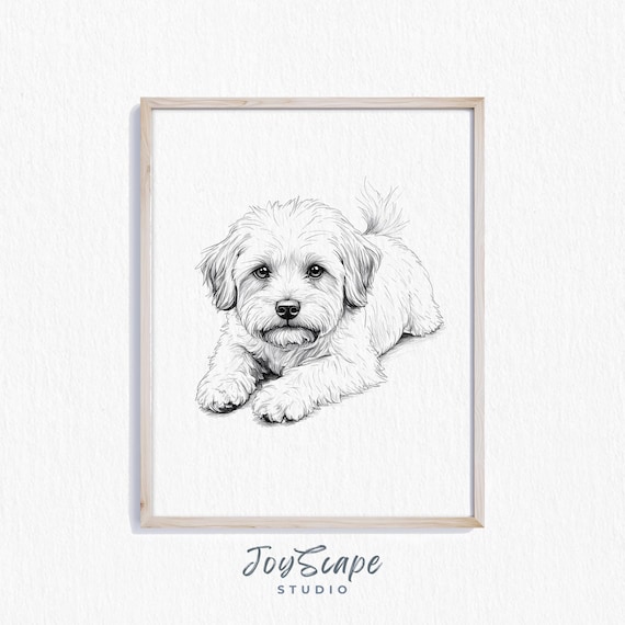 Maltese Puppy Sketch Black And White Fluffy Dog Portrait Poster