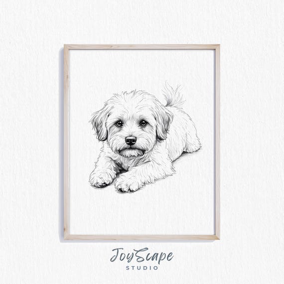 Maltese Sketch Vintage Dog Art Rustic Black And White Adorable Wall Decor Puppy Portrait Nursery Pet Print
