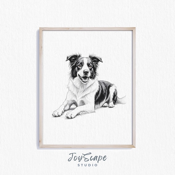 Border Collie Art Black And White Dog Print Rustic Pet Portrait Wall Decor Farmhouse Animal Illustration Vintage Style