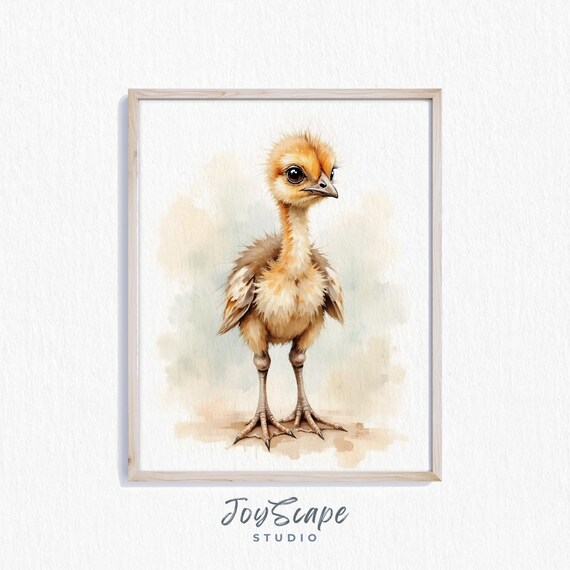 Baby Emu Chick Nursery Wall Art Adorable Animal Illustration Rustic Farmhouse Decor Print For Kids Room 456