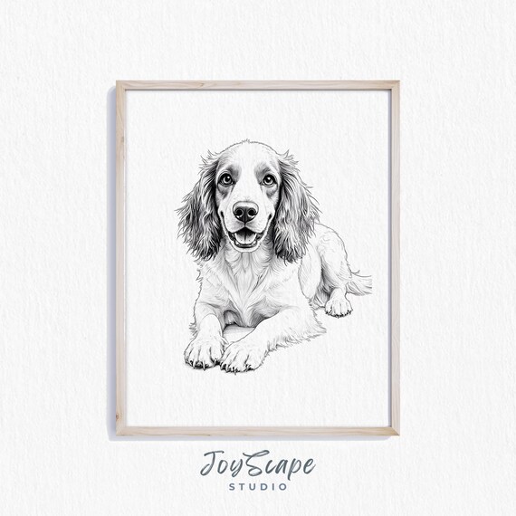 English Springer Spaniel Sketch Black And White Dog Portrait Poster