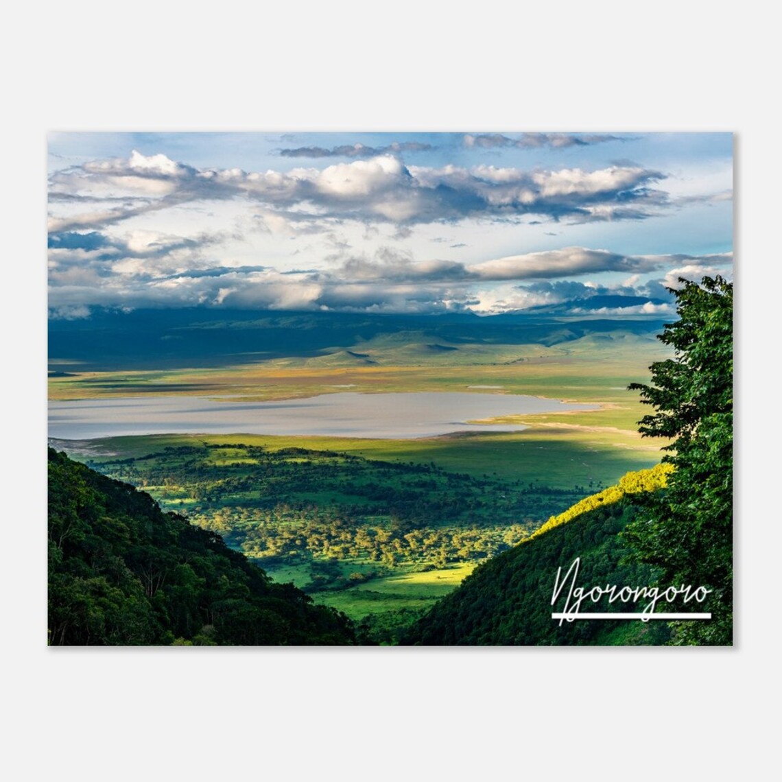 Ngorongoro Crater Tanzania Panoramic Safari Landscape Poster