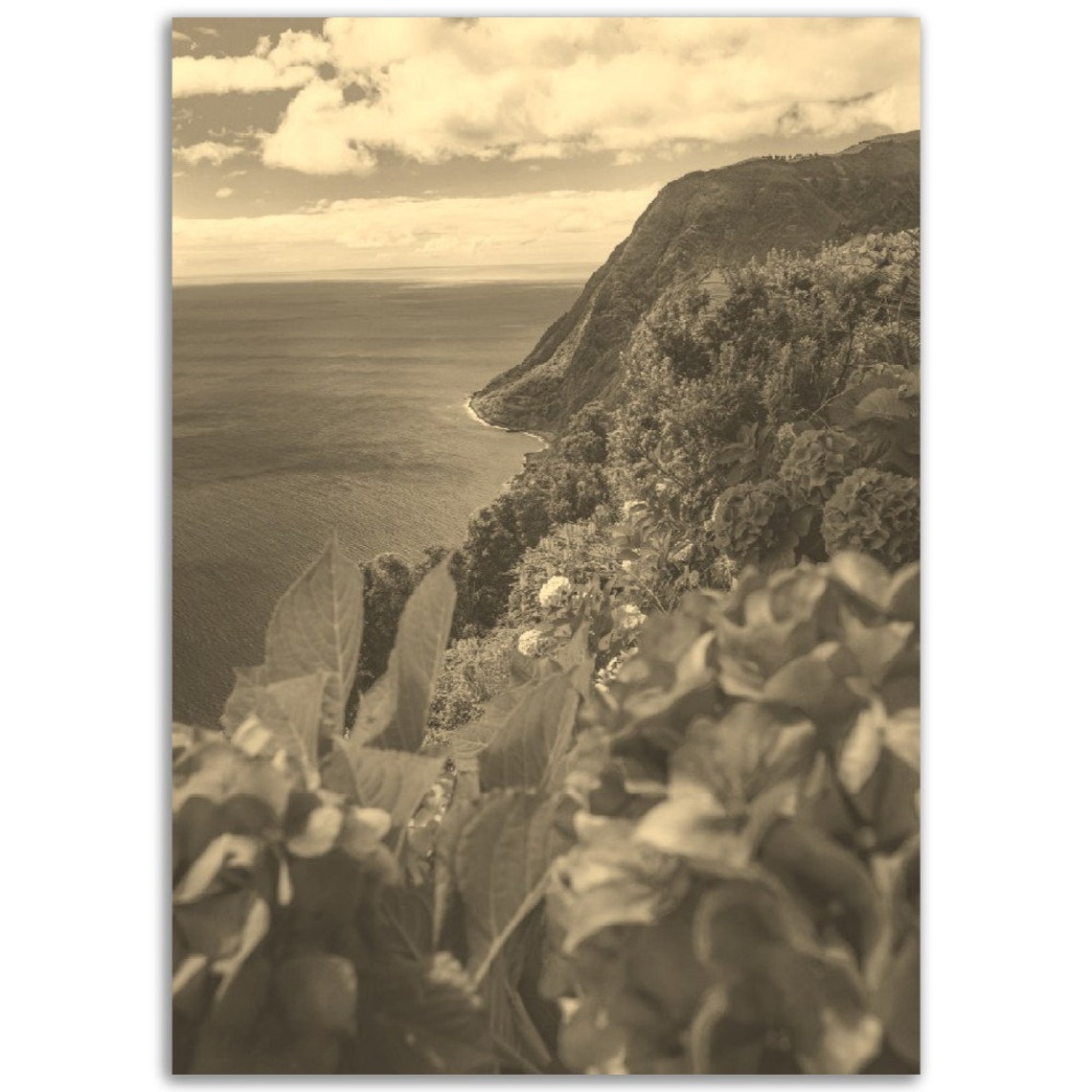 Vintage Sepia Dramatic Coastal Cliffs Ocean View Travel Poster