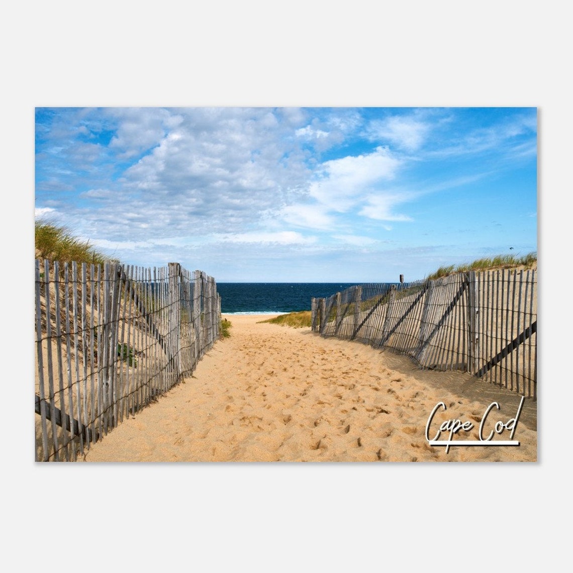 Cape Cod Beach Dune Path Ocean Fences Coastal New England Poster