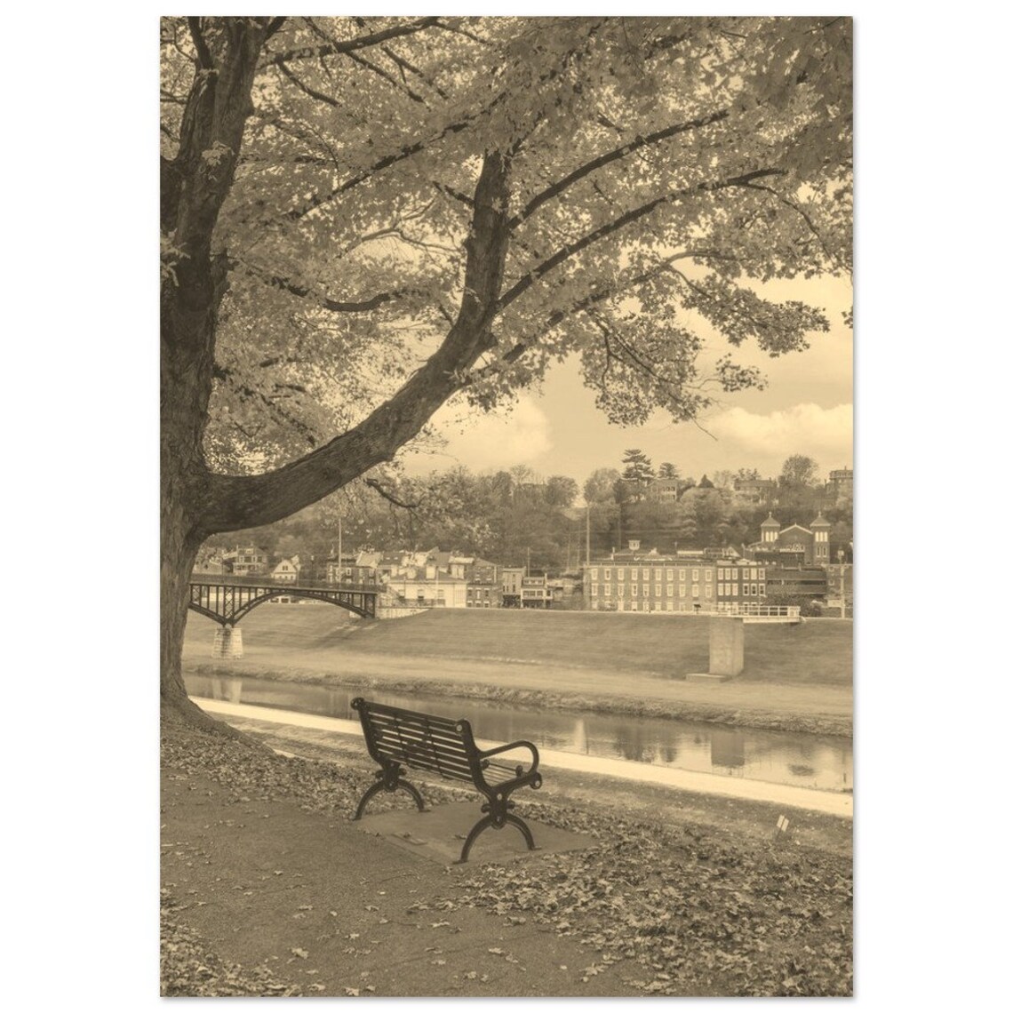 Sepia Riverside Park Bench Tree Fall Leaves Vintage Photo Print