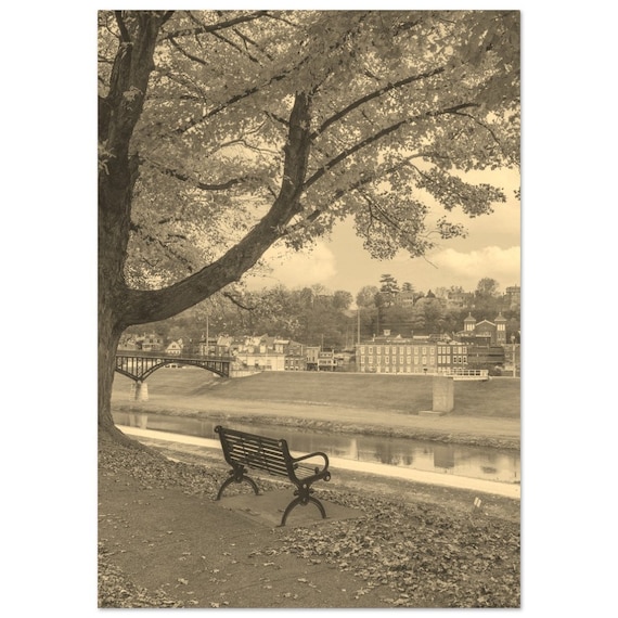 Sepia Riverside Park Bench Tree Fall Leaves Vintage Photo Print