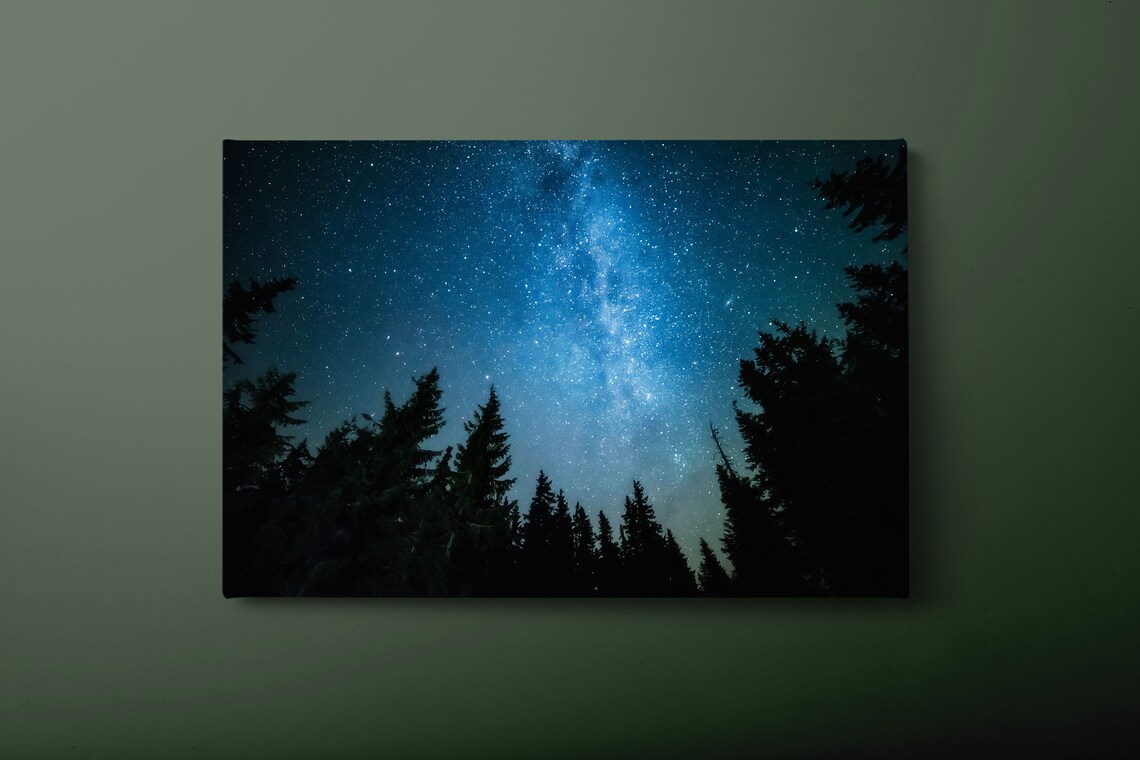 Stars And Trees Night In Forest, Art Print