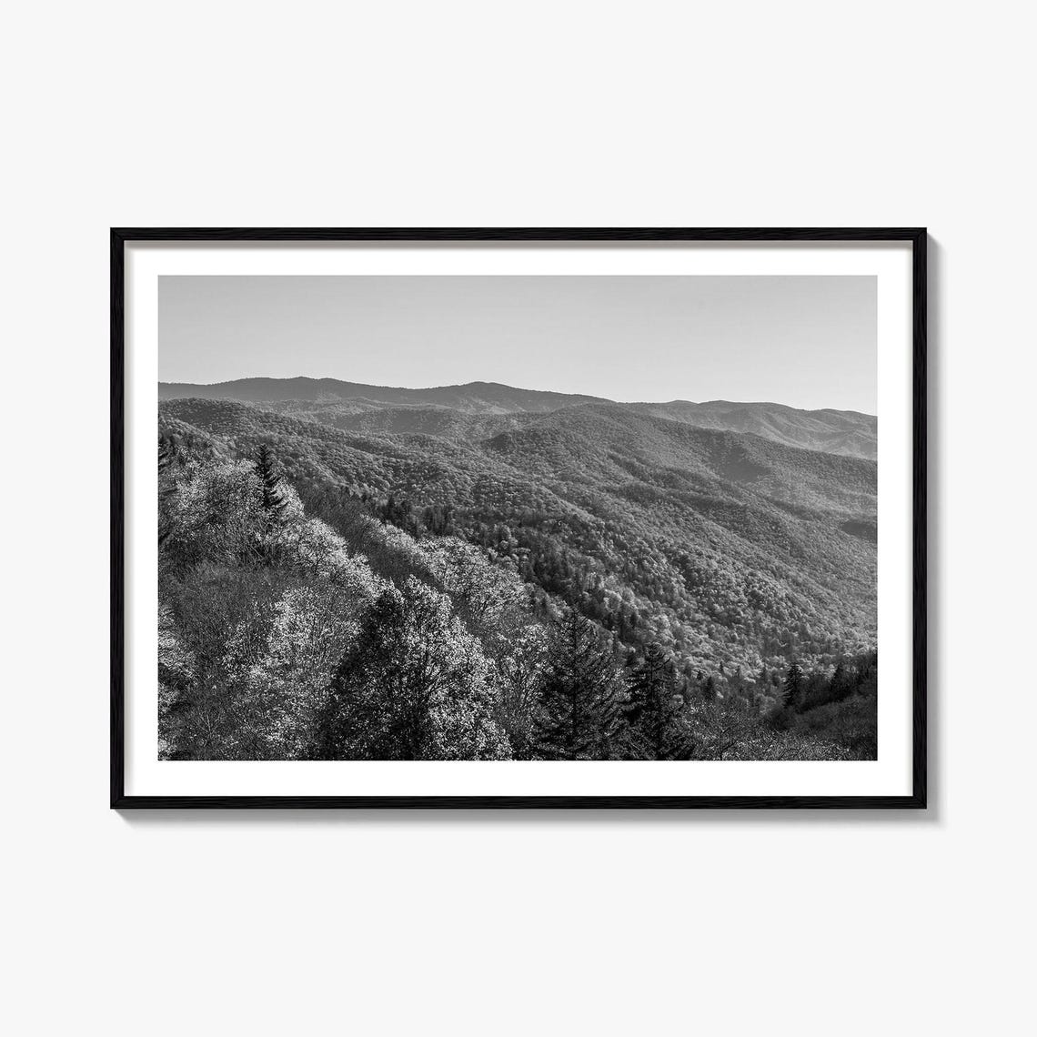 Great Smoky Mountains Black And White Mountain Forest Ridges Poster