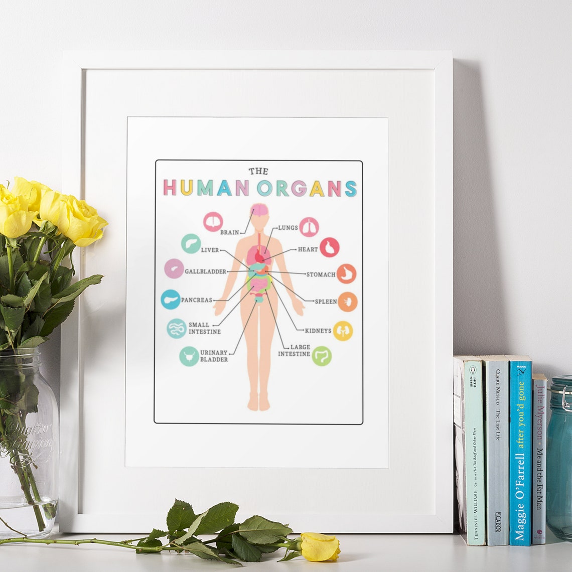 Human Organs Anatomy Chart Educational Science Classroom Poster - Image 3