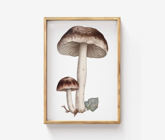 Mushroom Botanical Print Brown Cap Fungi Vintage Nature Decor