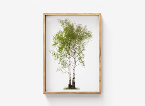 Birch Tree Print Botanical Wall Art