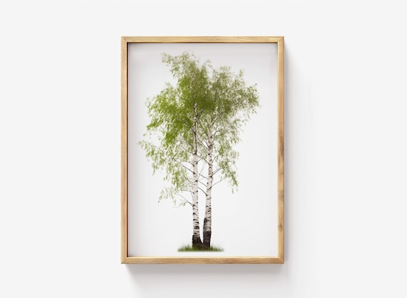 Single Birch Tree Botanical Poster Minimalist White Bark Art