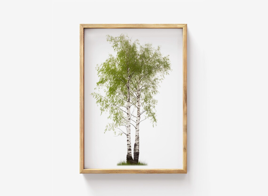 Birch Tree Print Botanical Wall Art