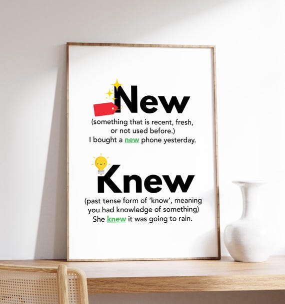 New Knew Poster Homophones Grammar And English Classroom Learning Chart Decor