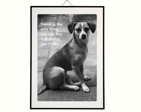 Travel Makes You Richer Inspired Travel Art Print Cute Dog Photo Wall Sassy Dog Gift Love Cute Dog Photo Gift Sassy Stray Love