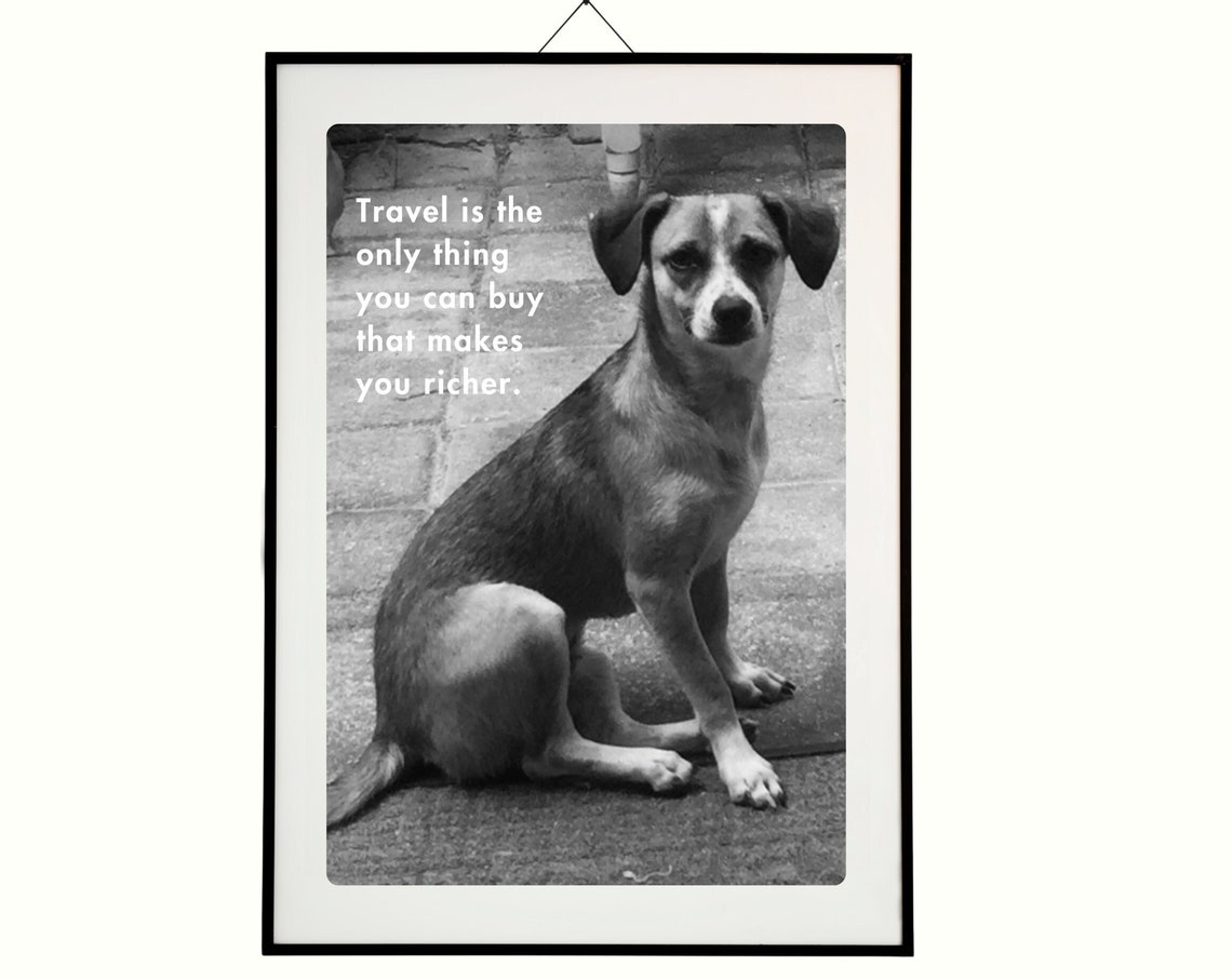 Travel Makes You Richer Inspired Travel Art Print Cute Dog Photo Wall Sassy Dog Gift Love Cute Dog Photo Gift Sassy Stray Love