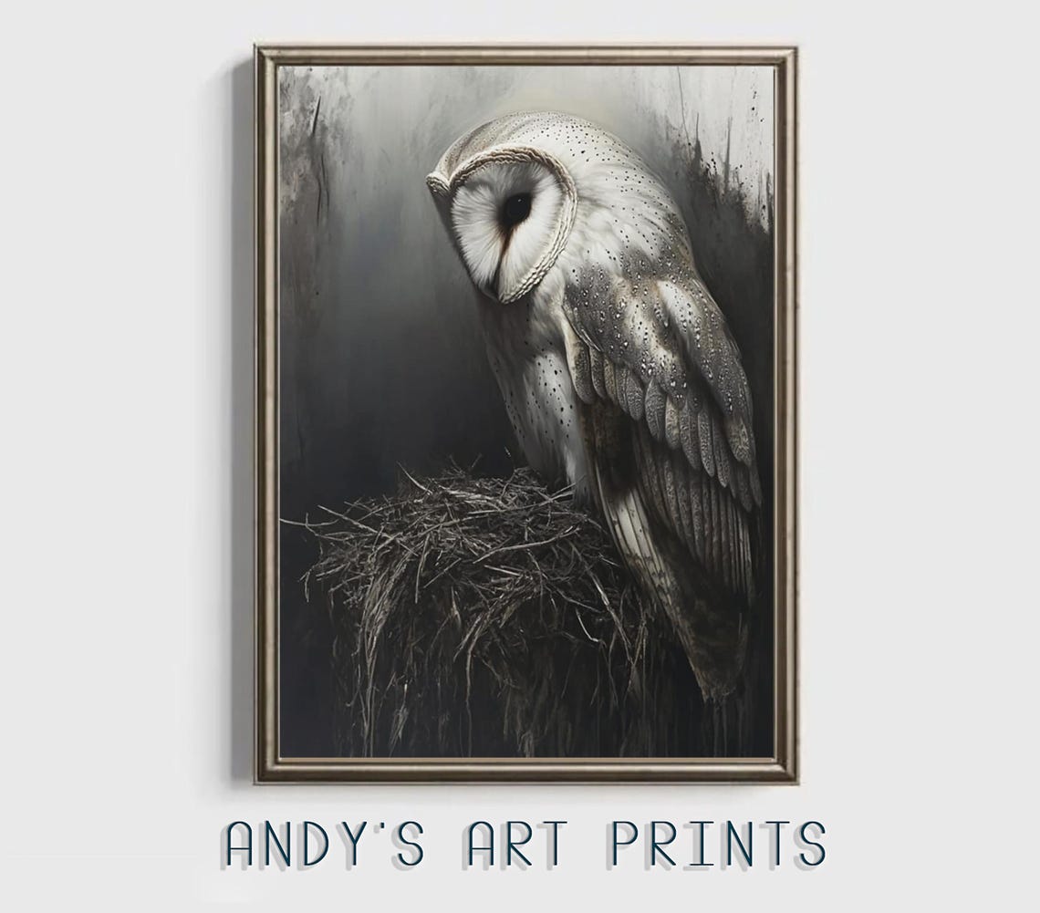 Serene Barn Owl Roosting Above Its Nest In Deep Shadow Poster - Image 3
