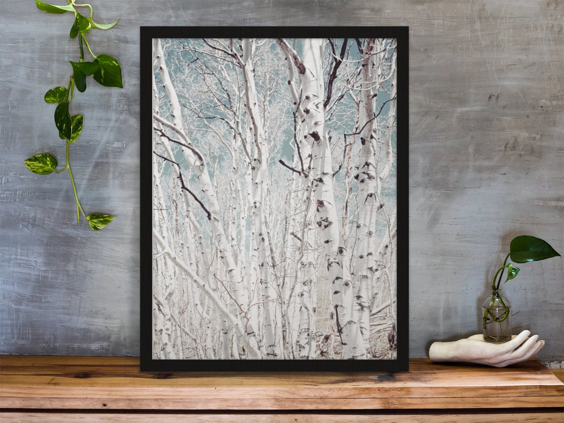 Forest Print Nature Art Tree Art Nature Poster Photography Prints Large Poster Wall Decor - Image 2