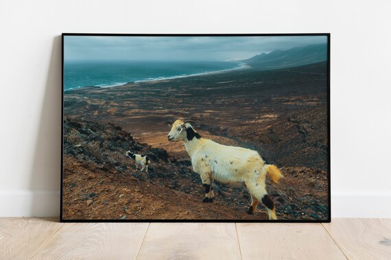 Fuerteventura Print Canary Islands Wall Art Living Room Decor Cofete Beach Large Poster