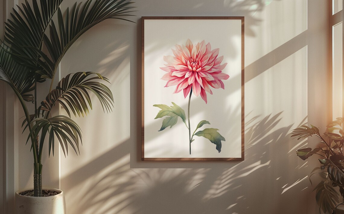 Pale Pink Dahlia Flower Serene Watercolour Botanical Art Poster - Image 5
