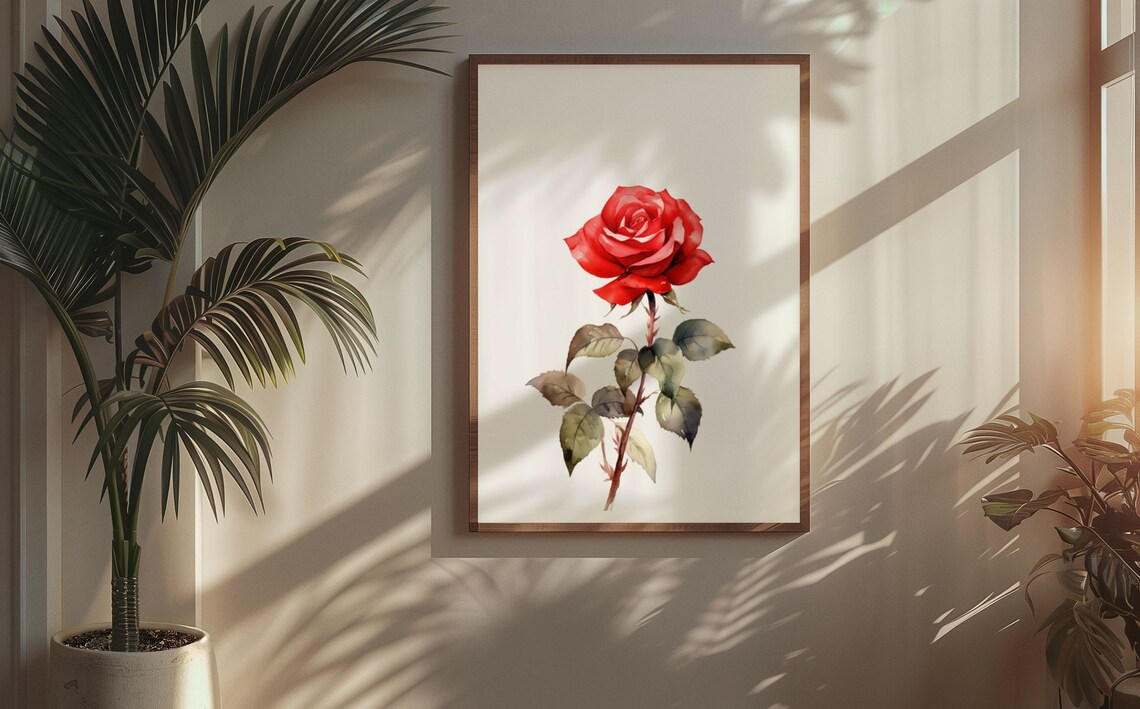 Classic Red Rose Single Stem Watercolour Botanical Flower Poster - Image 6