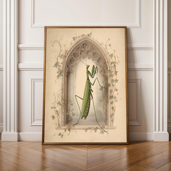Praying Mantis Wall Art Gothic Insect Print Dark Academia Decor Halloween Nature Illustration Entomology Bug Artwork Vintage Plate Style