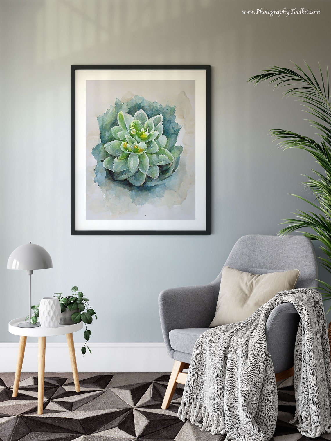 Gray Green Succulent Top View Watercolor Minimal Plant Poster - Image 6