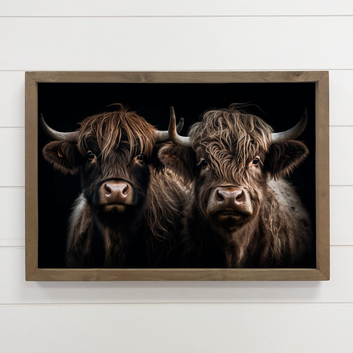 Highland Cow Pair Animal Photograph, Farm Decor