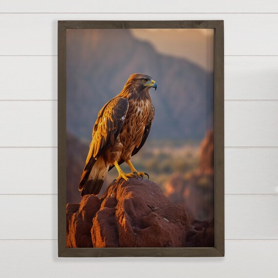 Hawk At Dusk Perched On Red Rock Desert Golden Light Photo Print