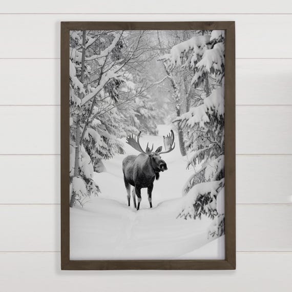 Moose In The Snow Winter Animal Canvas Art Wood Framed
