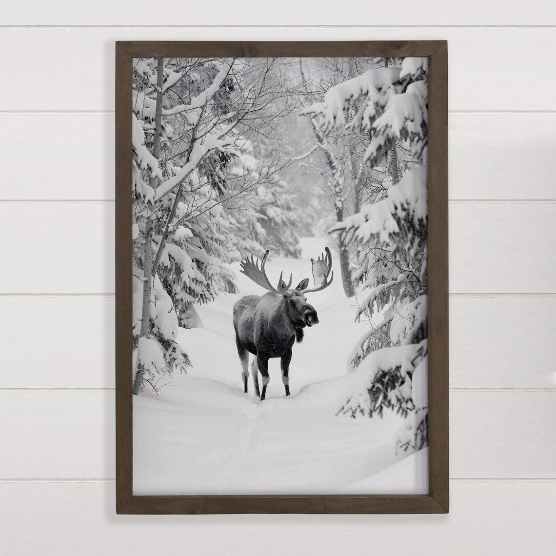 Bull Moose Standing In Snowy Forest Black White Photo Poster