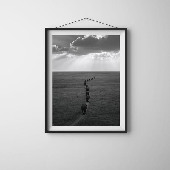 Elephant Herd Photography Print Minimalist Safari Wildlife Art
